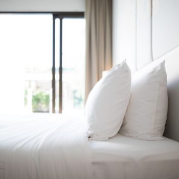 Duvet, Mattress Protector, and Pillow Cleaning